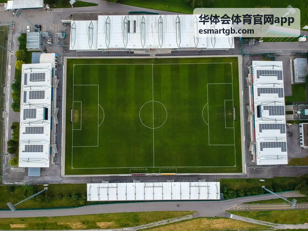华体会体育官网app官方App下载指南封面