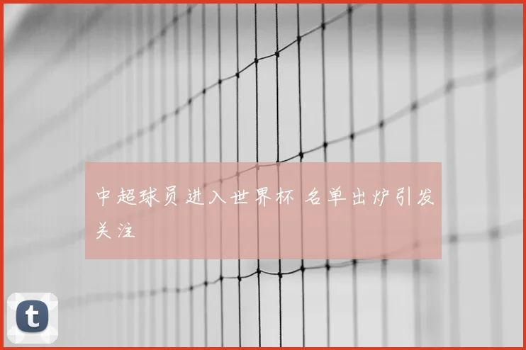 中超球员进入世界杯 名单出炉引发关注