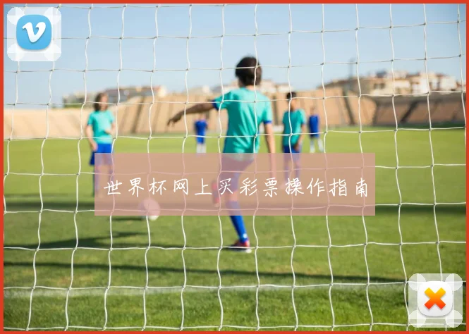 世界杯网上买彩票操作指南