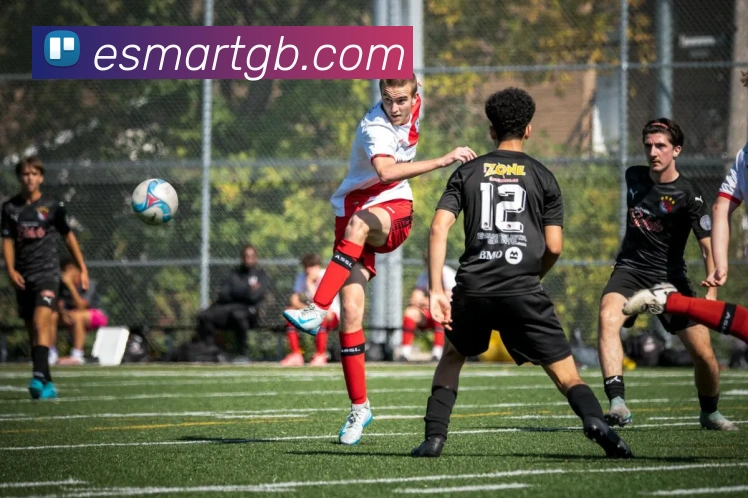 辅助工具 辅助工具